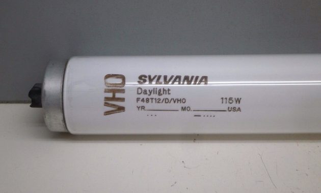 4 Sylvania F48t12dvho 115w Fluorescent Tube Lamp Light Bulb 6500k with regard to dimensions 1600 X 1200