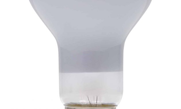 5010 100 Watt Reflector Light Bulb Lava Lamp throughout dimensions 1500 X 2000