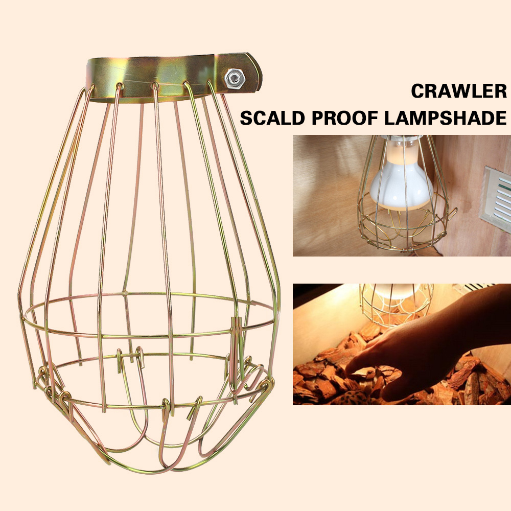 6a70 Lamp Cover Lamp Shade Reptile Supply Guard For Ceramic Heat throughout sizing 1000 X 1000