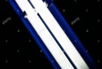 A Small Fluorescent Tube In A Desk Lamp Stock Photo 29924905 Alamy regarding measurements 1300 X 1390