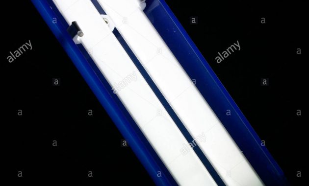 A Small Fluorescent Tube In A Desk Lamp Stock Photo 29924905 Alamy regarding measurements 1300 X 1390