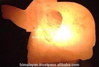 Animal Salt Lamps Elephant Salt Lampsdolphin Salt Lampsnatural intended for sizing 1000 X 835