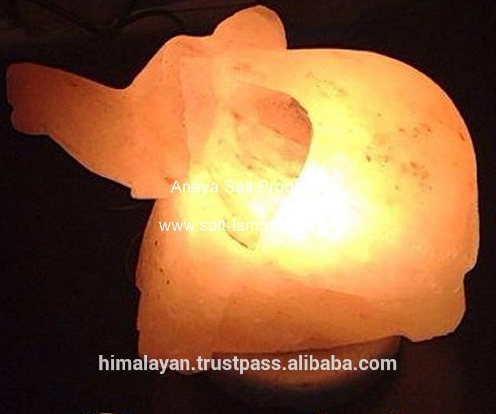 Animal Salt Lamps Elephant Salt Lampsdolphin Salt Lampsnatural intended for sizing 1000 X 835