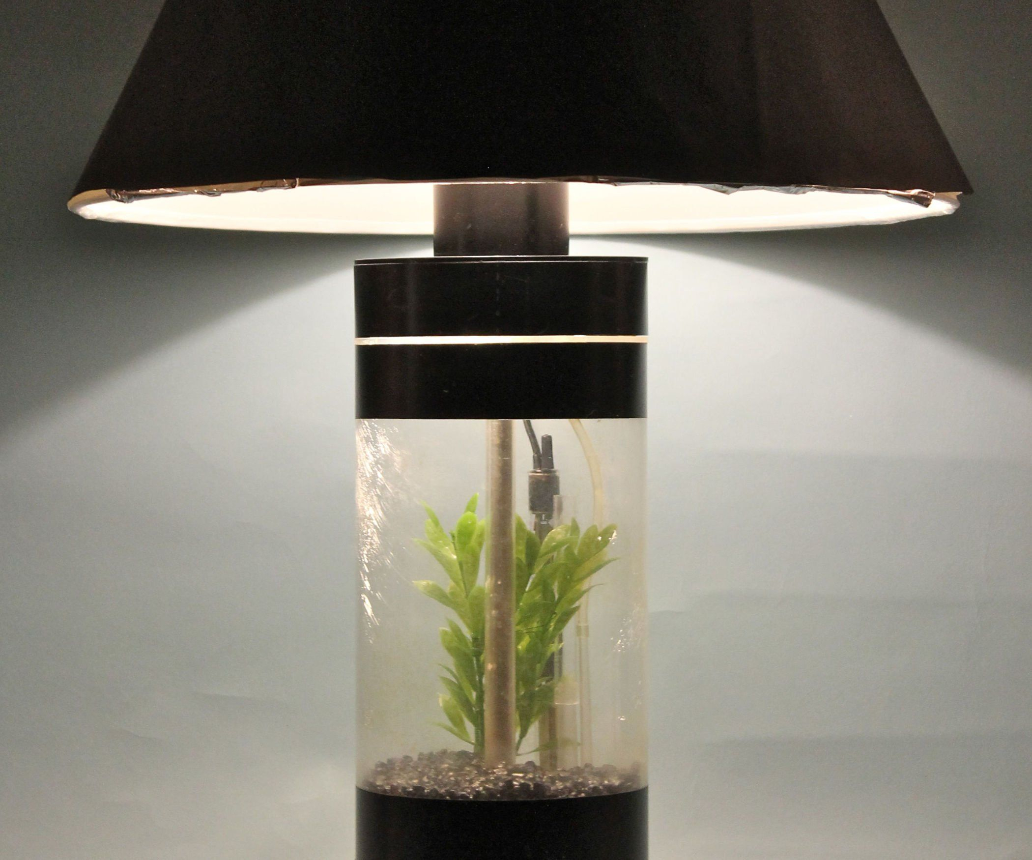 Aquarium Table Lamp Mini Aquarium Aquariums And Fish Tanks with regard to size 2100 X 1750