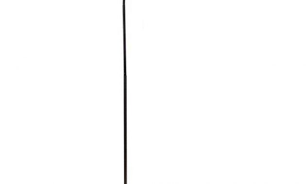 Avian Sun Deluxe Uv Floor Lamp Stand For Parrots No Bulb regarding proportions 1000 X 1000