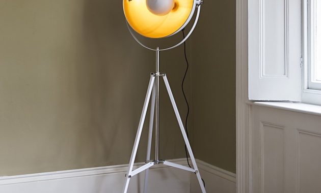 Best Of Photographic Floor Lamp The Ignite Show regarding proportions 1000 X 1000