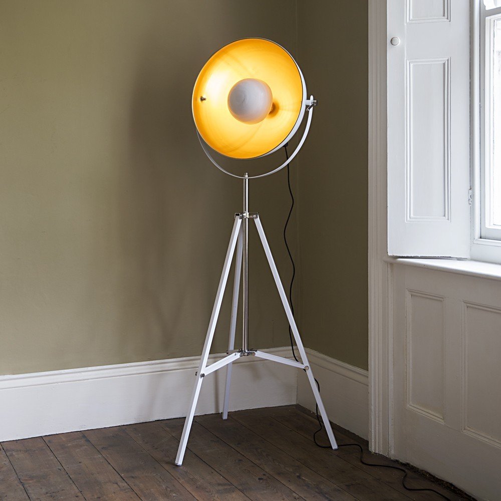 Best Of Photographic Floor Lamp The Ignite Show regarding proportions 1000 X 1000