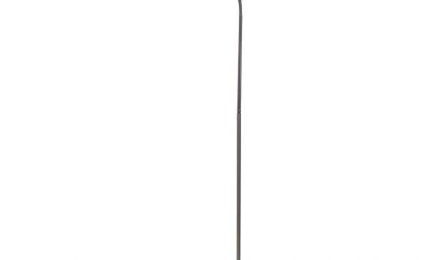 Bird Lighting Zoo Med Aviansun Deluxe Floor Lamp pertaining to size 1000 X 1000