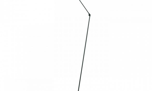 Daphine Floor Lamp With Dimmer in proportions 1200 X 1200