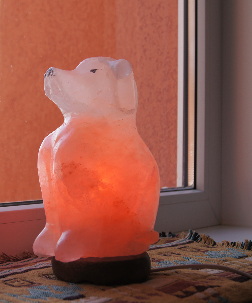 Dog Shaped Salt Lamp Edenbridge throughout dimensions 1000 X 1199