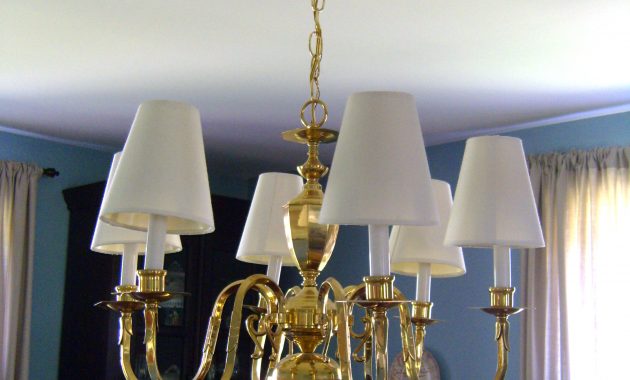 Dramatic Chandelier Lamp Shades Contendsocialco throughout measurements 2448 X 3264