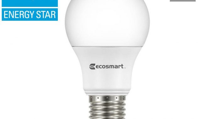 Ecosmart 40 Watt Equivalent A19 Dimmable Energy Star Led Light Bulb within proportions 1000 X 1000