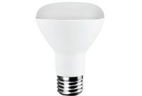 Ecosmart 50 Watt Equivalent R20 Led Light Bulb Daylight Ecs R20 50we regarding measurements 1000 X 1000