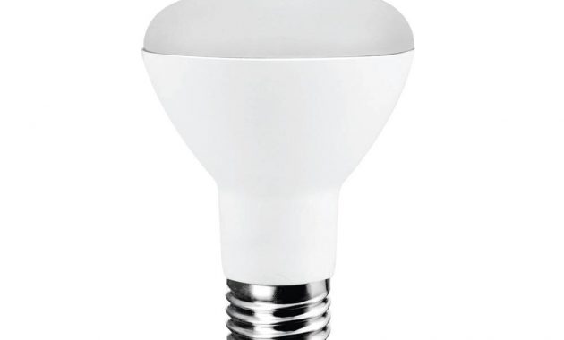 Ecosmart 50 Watt Equivalent R20 Led Light Bulb Daylight Ecs R20 50we regarding measurements 1000 X 1000