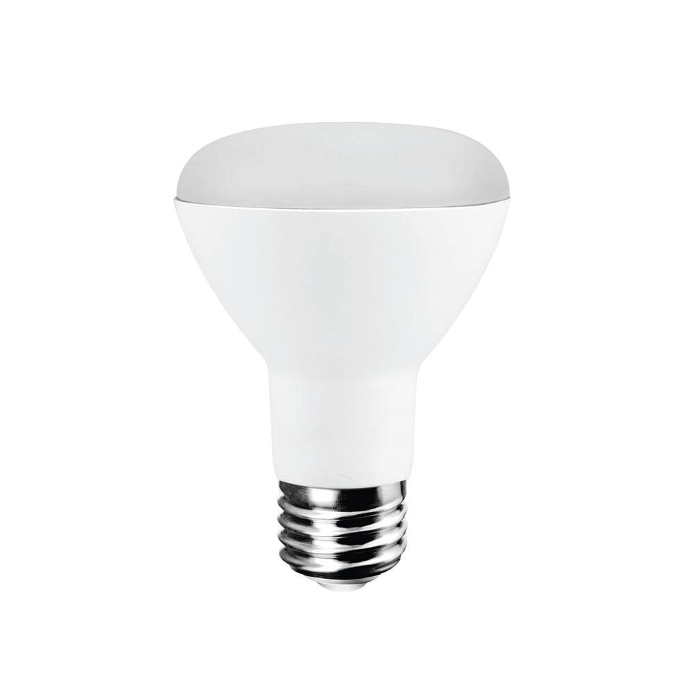 Ecosmart 50 Watt Equivalent R20 Led Light Bulb Daylight Ecs R20 50we regarding measurements 1000 X 1000