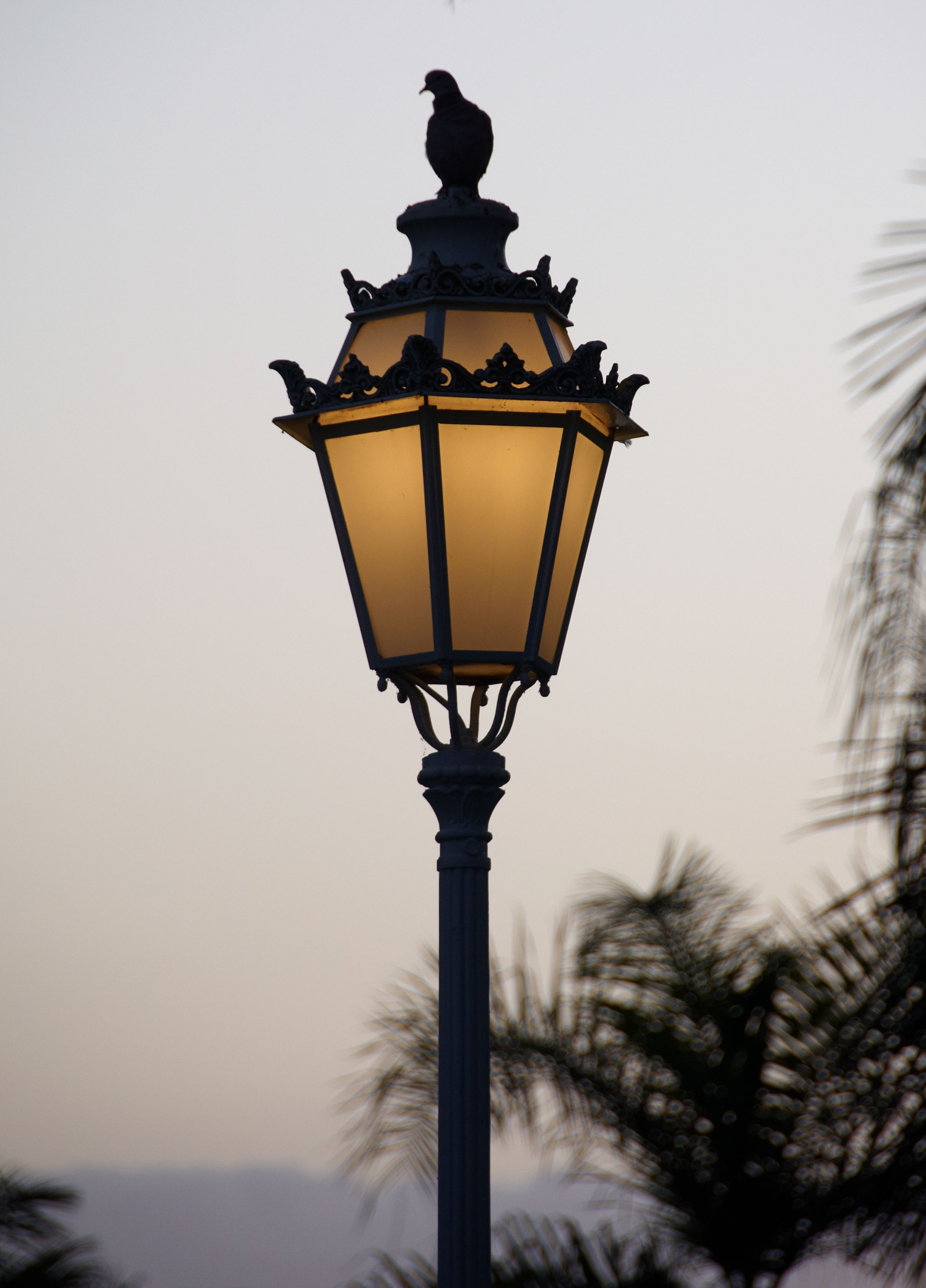 Filetenerife Lamp Post C Wikimedia Commons in size 2433 X 3383