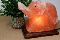 Hand Crafted Himalayan Salt Lamp Elephant With 15 Watt Light Bulb intended for measurements 900 X 900