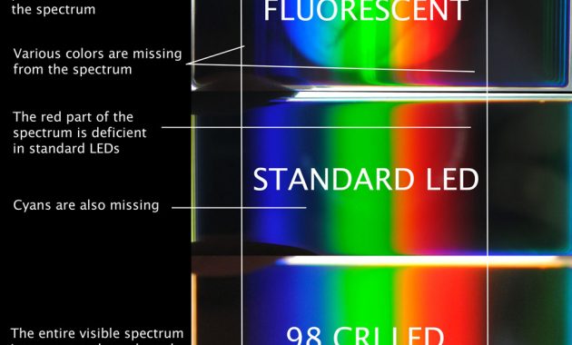 High Cri Led Lighting Yuji Led for proportions 960 X 820