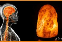 Himalayan Salt Lamp Benefits Does It Really Help Your Lungs Brain with dimensions 1544 X 800