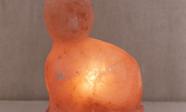 Himalayan Salt Lamp Cat The Green Head for measurements 1200 X 1200