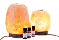 Himalayan Salt Lamp Diffusers Healingscents Aromatherapy inside sizing 1600 X 1143