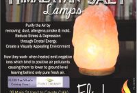 Himalayan Salt Lamps Flicker Gifts And Inspirations Hamburg Ny regarding sizing 980 X 959