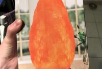 I Plugged In A Himalayan Salt Lamp And Went To Sleep 10 Days Later with dimensions 850 X 1133