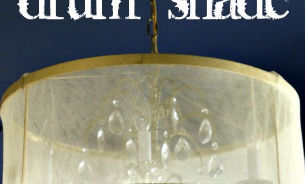 I Want To Cover My Ugly Chandelier With A Drum Shade Hmm I May Be within dimensions 800 X 1096