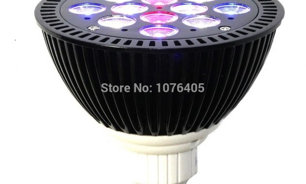 Led Aquarium Lampe Par38 36 Watt E27 Fhrte Korallenriff Wachsen inside dimensions 1000 X 1024