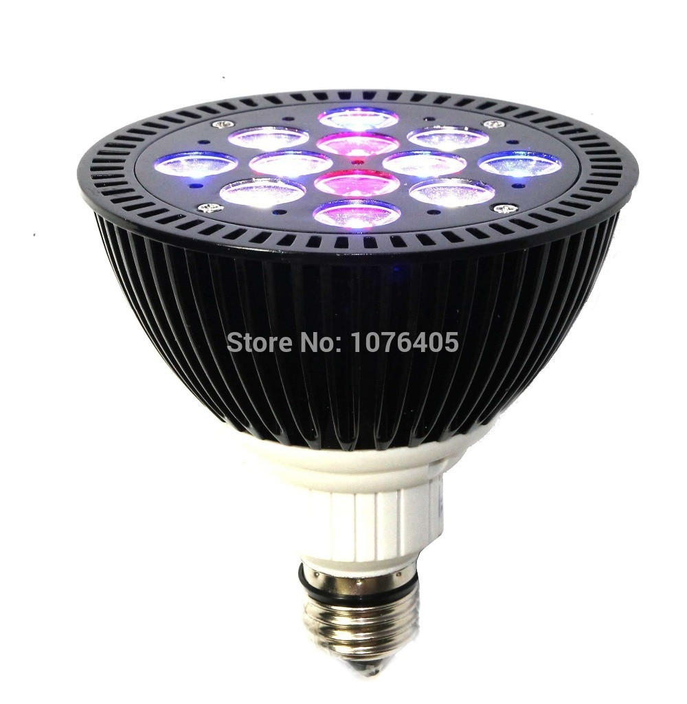 Led Aquarium Lampe Par38 36 Watt E27 Fhrte Korallenriff Wachsen inside dimensions 1000 X 1024