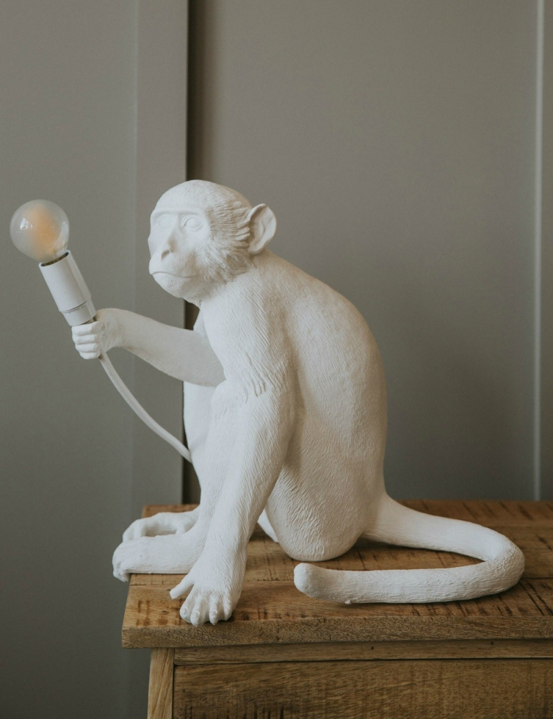 Light Up Your Home With The Monkey Lamp Seletti within sizing 800 X 1040