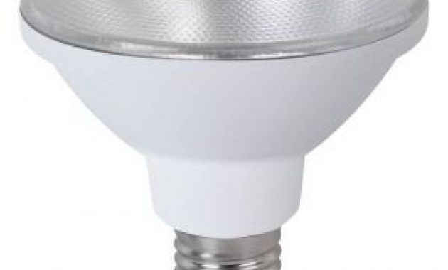 Megaman 141825 105 Watt Es E27mm Warm White Par30 Led Light Bulb regarding dimensions 1000 X 1000