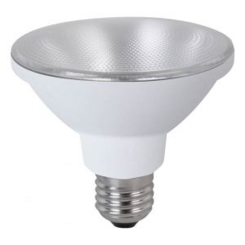 Megaman 141825 105 Watt Es E27mm Warm White Par30 Led Light Bulb regarding dimensions 1000 X 1000