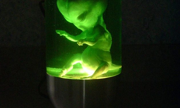 Need Alien Lamp Oozing Goo The Lava Lamp Syndicate Lllamps in sizing 960 X 1280