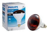 Philips 250 Watt R40 Incandescent Red Heat Lamp Light Bulb 415836 with proportions 1000 X 1000