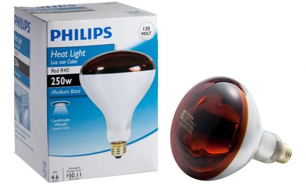 Philips 250 Watt R40 Incandescent Red Heat Lamp Light Bulb 415836 with proportions 1000 X 1000