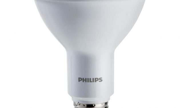 Philips 75 Watt Equivalent Par30 Led Indooroutdoor Energy Star inside proportions 1000 X 1000