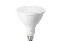 Philips Hue 100 Watt Equivalent Bright White Outdoor Waterproof throughout proportions 1000 X 1000