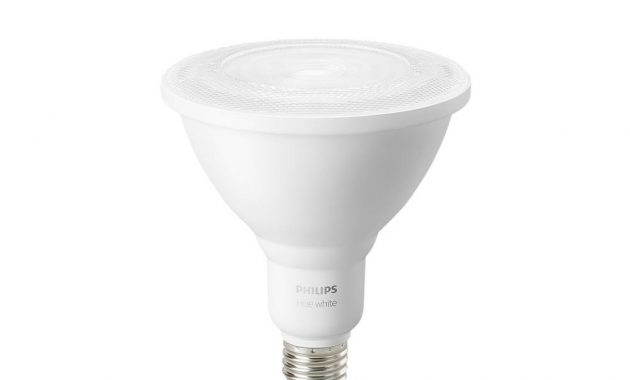 Philips Hue 100 Watt Equivalent Bright White Outdoor Waterproof throughout proportions 1000 X 1000