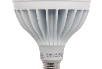 Philips Led Bulbs 465823 64 1000k Lamp E320663 13t Amazing 39pr pertaining to size 1000 X 1000