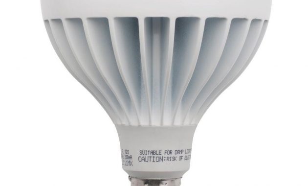 Philips Led Bulbs 465823 64 1000k Lamp E320663 13t Amazing 39pr pertaining to size 1000 X 1000