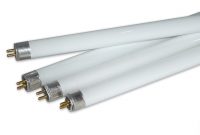 Planet Light T5 Ho Fluorescent Grow Light Replacement Bulb Review pertaining to size 2253 X 1455