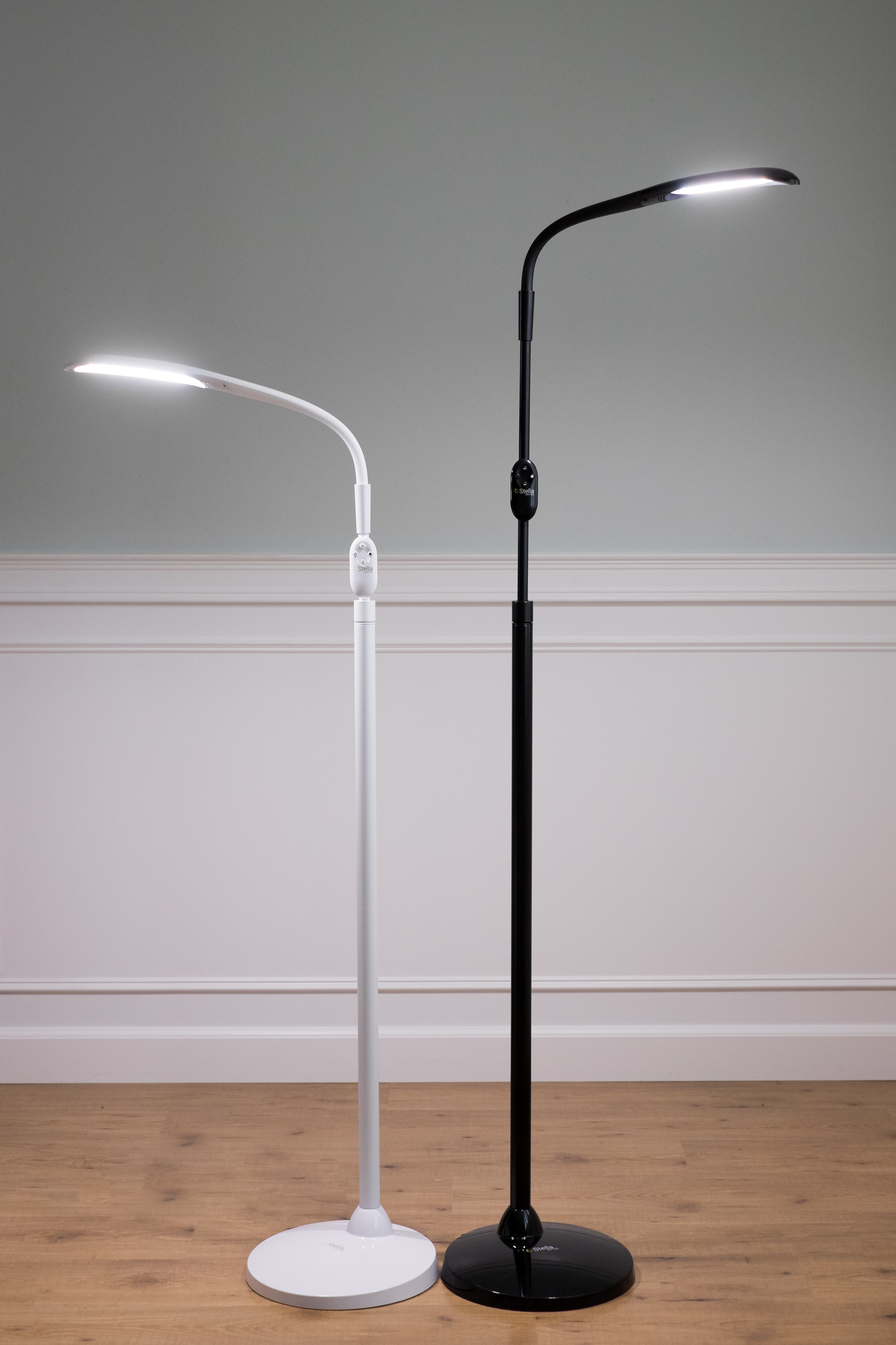 Stellasky Two Led Floor Lamp Stella Lighting regarding size 3155 X 4732