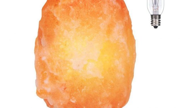 Syntus Himalayan Salt Lamp 8 11 Lbs Natural Pink Salt Rock Lamps regarding proportions 1000 X 1000