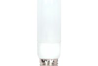 Type T Lamp Bulb Type A Light Bulb Led Mycrimeaclub in proportions 1400 X 1400