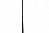 Verilux Floor Lamp Fresh Floor Lamps Magnificent Bluemax 70w Floor with sizing 805 X 1030