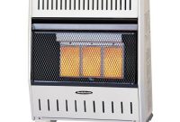 Details About Gas Wall Heater 20000 Btu Infrared Dual Fuel Unvented Automatic Shut Off in size 1000 X 1000