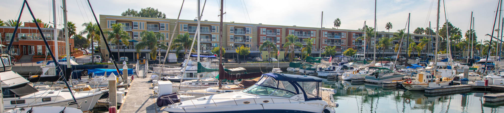 Marina Del Rey Apartments Near Venice Beach inside sizing 2000 X 450