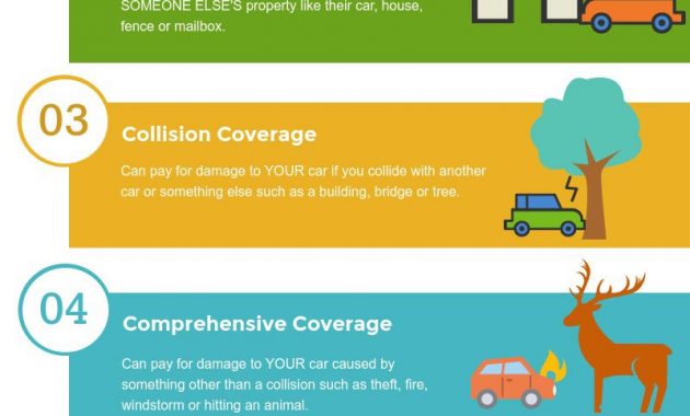 5 Important Car Insurance Coverages Explained Infographic for size 800 X 1991