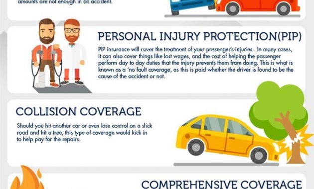 7 Types Of Car Insurance You Should Consider Infographic in dimensions 736 X 1472